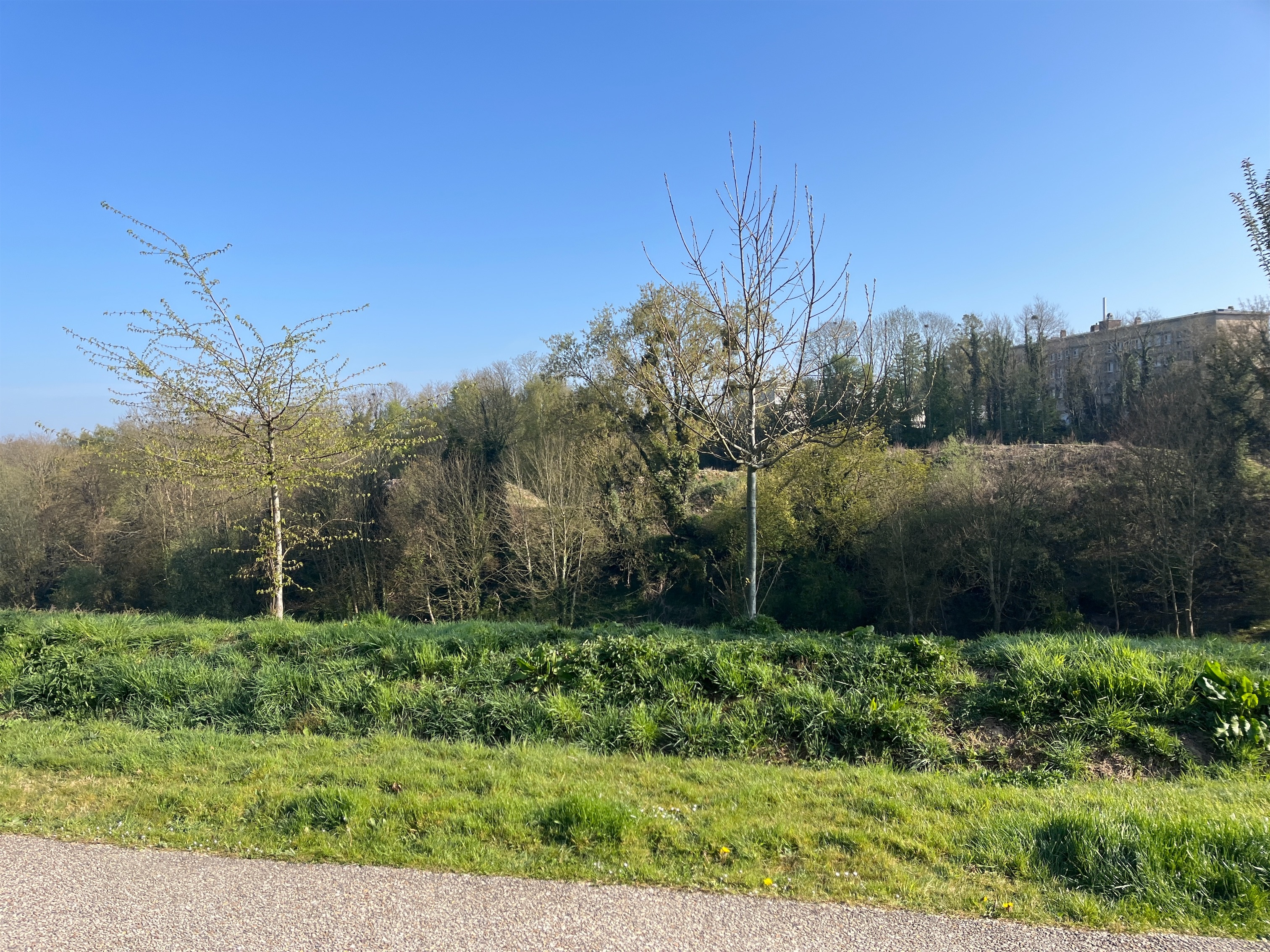 Corridor à préserver au sein de la trame urbaine