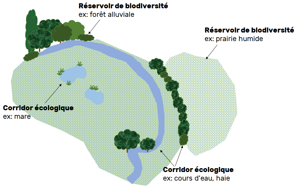 Schéma de principe source : Cerema